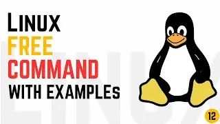 Free Command in Linux With Examples