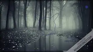 Linkin Park - In The End Black Fox  №3