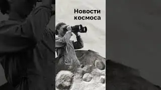 9 июня 2024 г.