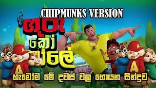 ශෝට වැලේ ~ Shota Wale - GURU KO BOLE ~ Theme Song (HIRU TV) ~ The Musicians Place Production