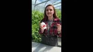 ✅Разные штуки, про которые вы часто спрашиваете