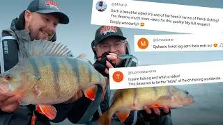 Perch Fever | With subtitles