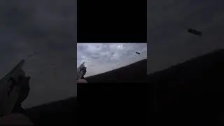 Долгожданный налет гусей !!!! 
