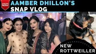 Aamber Dhillon's Snapchat | New Rottweiller | California Wedding Diaries