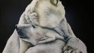 Reflexiones De Mariano Osorio (Abrazo De Oso)