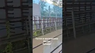 Потоп В московском Метрополитене