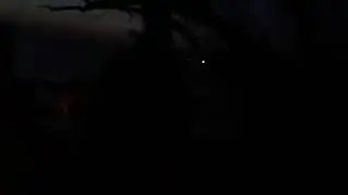 Jarná živosť