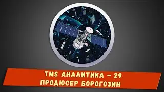 TMS Аналитика #29 - Продюсер Борогозин