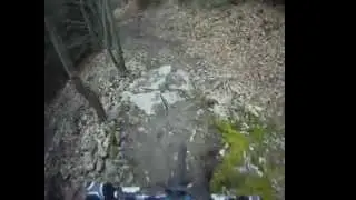 Downhill Strecke in Gengenbach