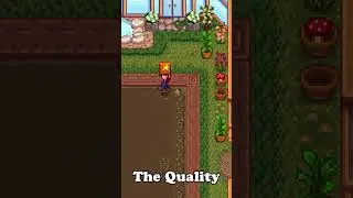 5 More Things You Don't Know in Stardew Valley 