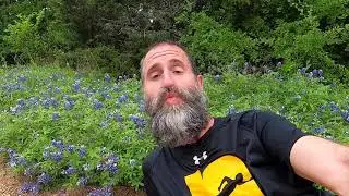 Bluebonnet Boogie