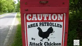 Funny Signs EP 1