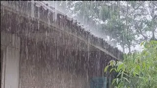 Best rain sounds to fall asleep faster goodbye insomnia