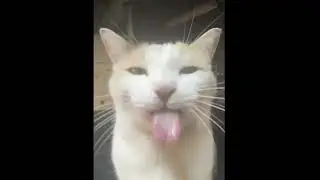 Bleh :P