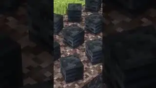 Why did I do it again...      #minecraft #gaming #minecraftchallenge #funnyminecraft