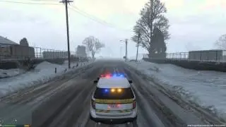FPIU GTAV testing