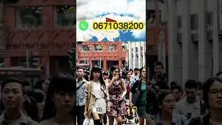 MXUS или  Bafang