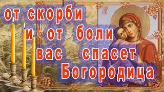 Спасёт от скорби, будет поддержка, утешение и помощь от Богородицы.