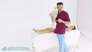 ЛЛ  Распределение нагрузки при шаге
