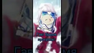 Гайд на Клару #honkaistarrail #hsr #гайд #хонкайстаррейл #хср #клара