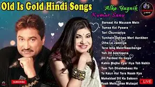 Kumar Sanu Hits Songs 90s Evergreen Udit Narayan & Alka Yagnik Love Song #90severgreen #bollywood