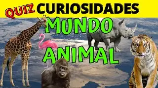 Quiz - Curiosidades do Mundo Animal - 02 | Tribo do Quiz