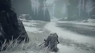 (SPOILERS!) Elden Ring But It's Shadow Of The Colossus