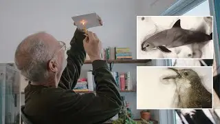 Painting with fire — this artist's paintings are literally LIT!