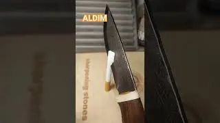 #aldim