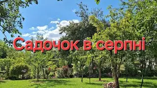КВІТНУТЬ ГОРТЕНЗІЇ. Запрошую на прогулянку в мій садочок🌸 #квіти #гортензії #сад #дачнийагроном