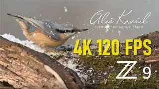Test 4K videa 120 fps převedeného na 30 fps (4xzpomalení)