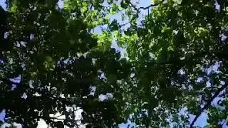 13 мая 2018 г.