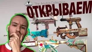 Открываем коллекцию АНУБИС, обзор скинов  cs go anubis collection