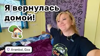 🏡 167. I'm back home in Goa! My cat was waiting for me. We're off to adventure again.