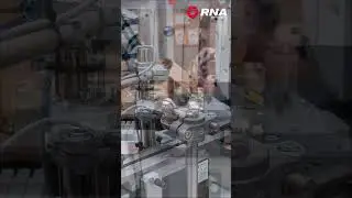 Automatic Insertion Machine with Bowl Feeder | Bowl Feeder for Inserts | RNA Automation #bowlfeeder