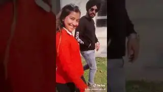 TURNA HI PAINDA - Jatt Jaffe - JASSA DHILLON