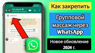 Как закрепить сообщение в группе WhatsApp (2024)