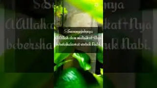 QS. Al Ahzab 33:56. Smg kita mendapat syafaat dari Nabi Muhammad SAW di yaumil akhir nanti.  Aamiin.