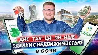 How to buy an apartment in Sochi remotely? Remote real estate transactions. Real estate in Sochi