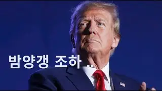 비비의 밤양갱을 트럼프 전 미국대통령이 불렀다고????