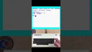INPUT Command on Commodore VIC-20 #8bit #vic20 #shorts