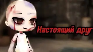 ☠️НАСТОЯЩИЙ ДРУГ☠️СТРАШИЛКА ГАЧАЛАЙФ🎃Историии на Хеллоуин🎃