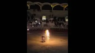 Fiesta