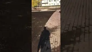 Устройство газон, планировка 1