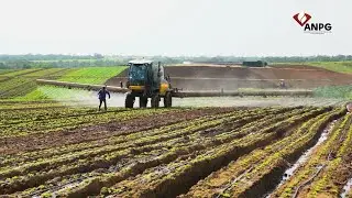 Petróleo +: Desenvolvimento dos Biocombustíveis em Angola - parte 2