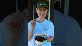 Фундук вместо чипсов #саженцы #сельскоехозяйство#купить #дача #фундук #сад #hazelnut #рецепт #бизнес
