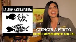 Ciencia A Punto: Comportamiento social