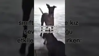 ve onun aldırış şekli: