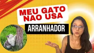Por que meu gato não usa o arranhador?