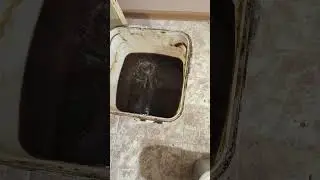 Как можно быстро распустить севший мëд
